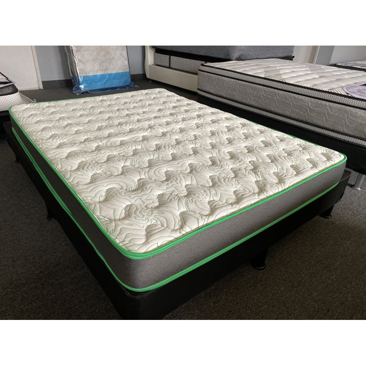 Dream Time Bedding Mattress & Reviews Wayfair Canada